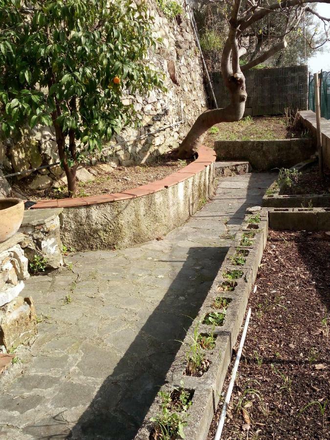 Casa Picasso Apartment Genoa Exterior photo